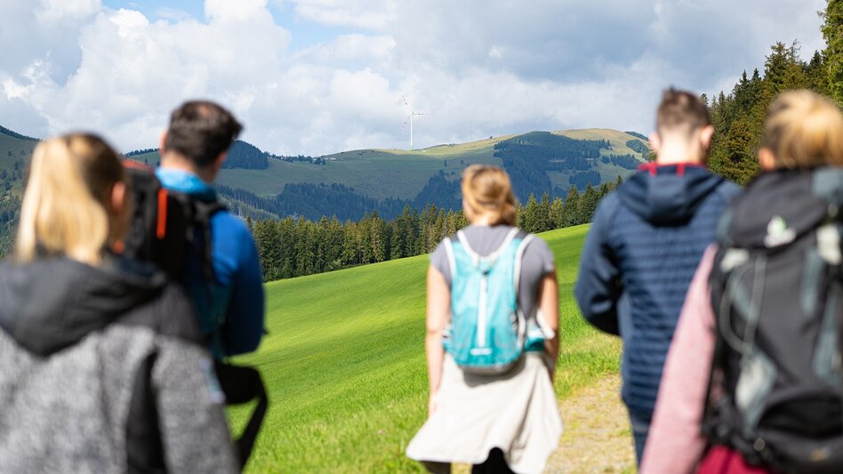 Hiking route Bärenrunde St. Kathrein - Brandlucken - Touren-Impression #2.2 | © Oststeiermark Tourismus