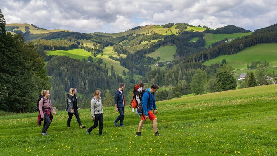 Hiking route Bärenrunde St. Kathrein - Brandlucken - Touren-Impression #2.4 | © Oststeiermark Tourismus