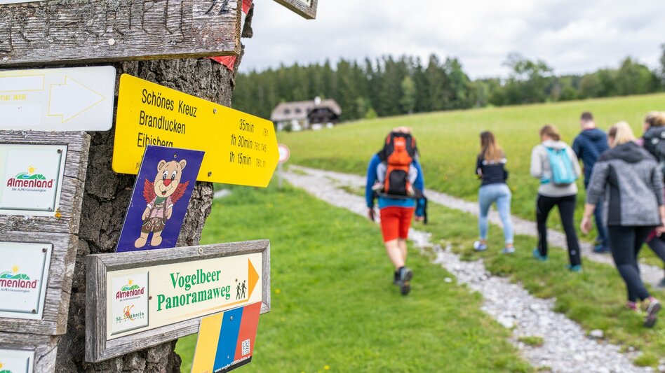 Hiking route Bärenrunde St. Kathrein - Brandlucken - Touren-Impression #2.5 | © Oststeiermark Tourismus