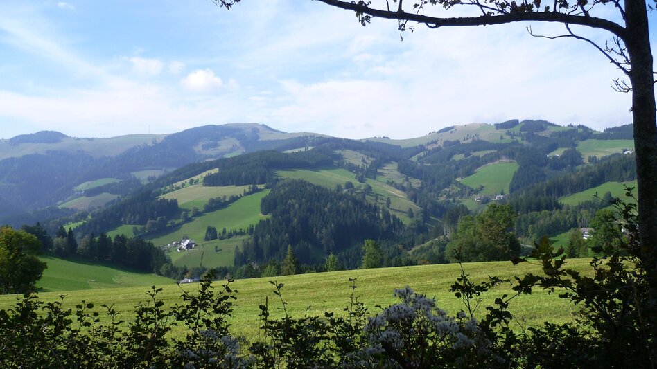 Hiking route Bärenrunde St. Kathrein - Brandlucken - Touren-Impression #2.8