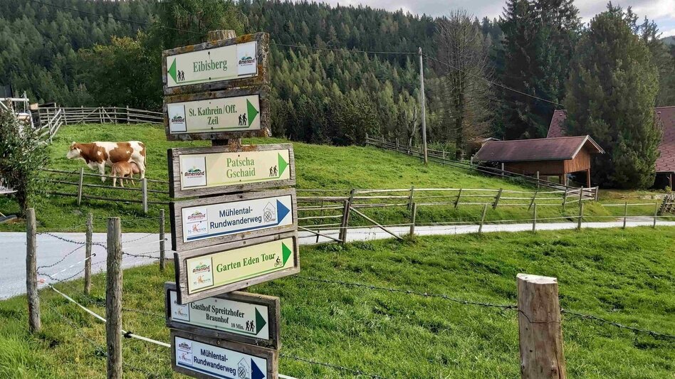 Wanderung Mühlental-Rundwanderweg, St. Kathrein am Offenegg - Touren-Impression #2.16 | © Oststeiermark Tourismus