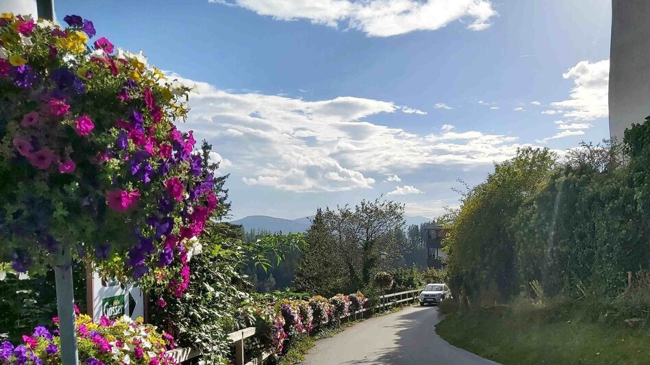 Wanderung Mühlental-Rundwanderweg, St. Kathrein am Offenegg - Touren-Impression #2.23 | © Oststeiermark Tourismus