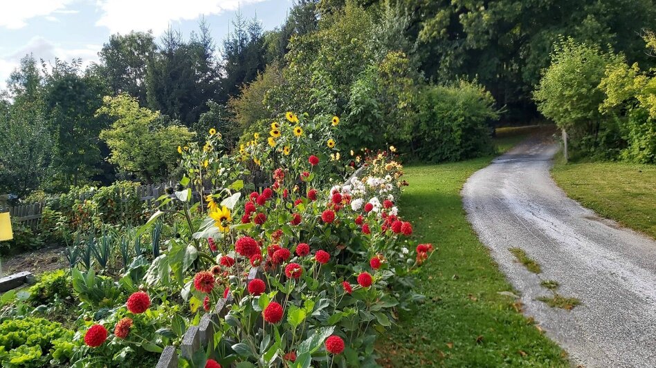 Wanderung Mühlental-Rundwanderweg, St. Kathrein am Offenegg - Touren-Impression #2.19 | © Oststeiermark Tourismus