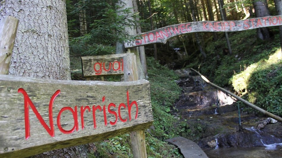 Wanderung Stoakogler-Heimatwanderweg, Gasen - Touren-Impression #2.4 | © Oststeiermark Tourismus