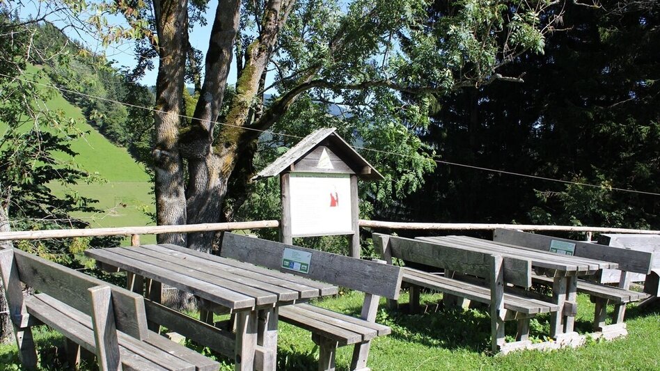 Wanderung Stoakogler-Heimatwanderweg, Gasen - Touren-Impression #2.5 | © Oststeiermark Tourismus