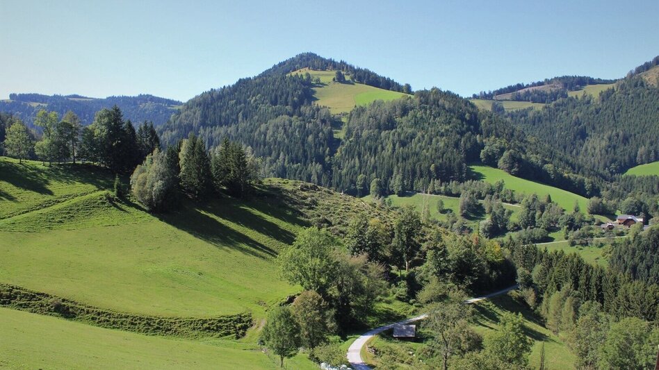 Wanderung Stoakogler-Heimatwanderweg, Gasen - Touren-Impression #2.7 | © Oststeiermark Tourismus