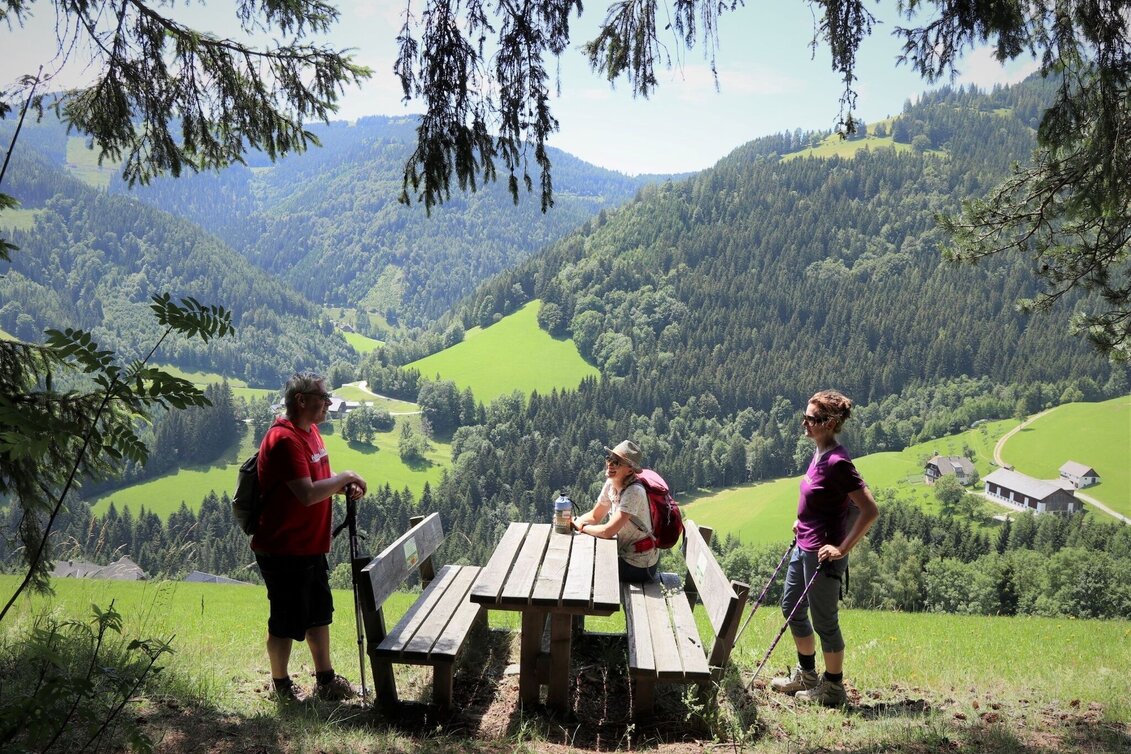 Wanderung Stoakogler-Heimatwanderweg, Gasen - Touren-Impression #1 | © Oststeiermark Tourismus