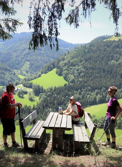 Stoakogler Heimatwanderweg, Rastplatz | © Oststeiermark Tourismus | Weges | © Oststeiermark Tourismus