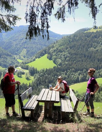 Stoakogler Heimatwanderweg, Rastplatz | Weges | © Oststeiermark Tourismus