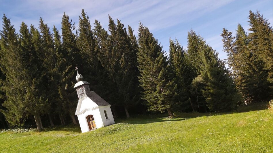 Hiking route Almenland-Hiking Trail - Touren-Impression #2.7 | © Oststeiermark Tourismus