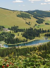 Teichalm Landschaft im Naturpark Almenland | © Oststeiermark Tourismus | Franz Berghofer | © Oststeiermark Tourismus