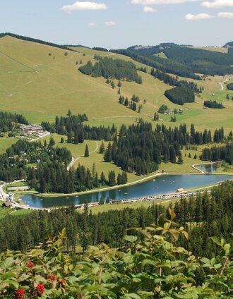 Teichalm Landschaft_Naturpark Almenland_Oststeiermark | Franz Berghofer | © Oststeiermark Tourismus