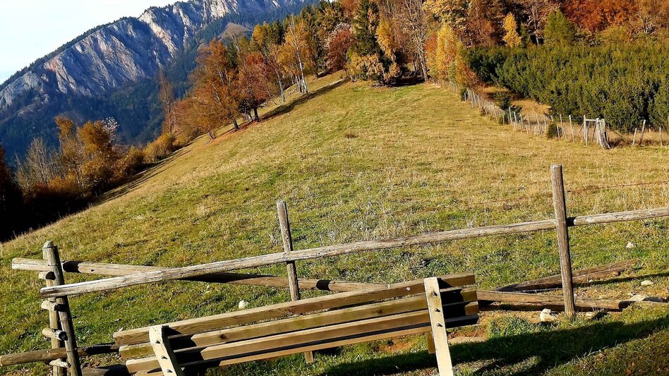 Hiking route Rote Wand with Tyrnauer Alm - Touren-Impression #2.1 | © Oststeiermark Tourismus