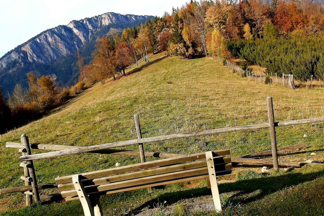 Hiking route Rote Wand with Tyrnauer Alm - Touren-Impression #1 | © Oststeiermark Tourismus