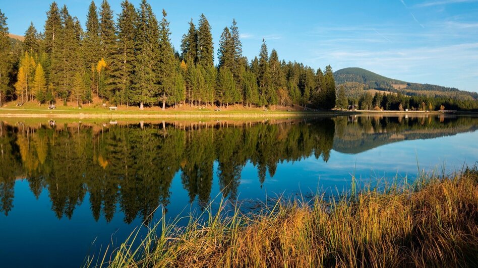 Hiking route Rote Wand with Tyrnauer Alm - Touren-Impression #2.6 | © Oststeiermark Tourismus