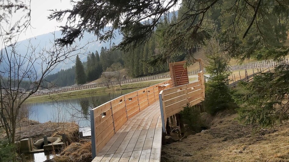 Hiking route Rote Wand with Tyrnauer Alm - Touren-Impression #2.8 | © Oststeiermark Tourismus