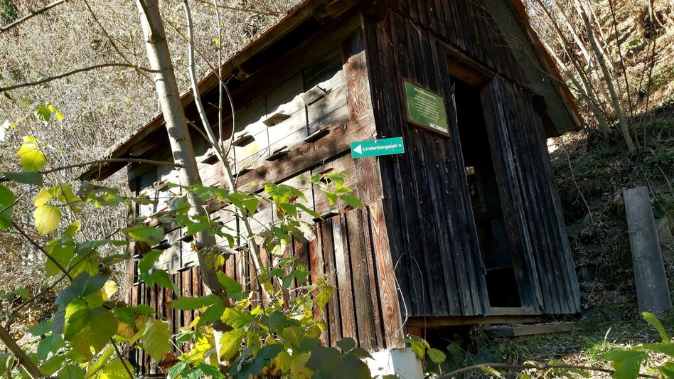 Themen- und Lehrpfad Wald- und Bienenlehrpfad, Passail - Touren-Impression #2.4 | © Oststeiermark Tourismus