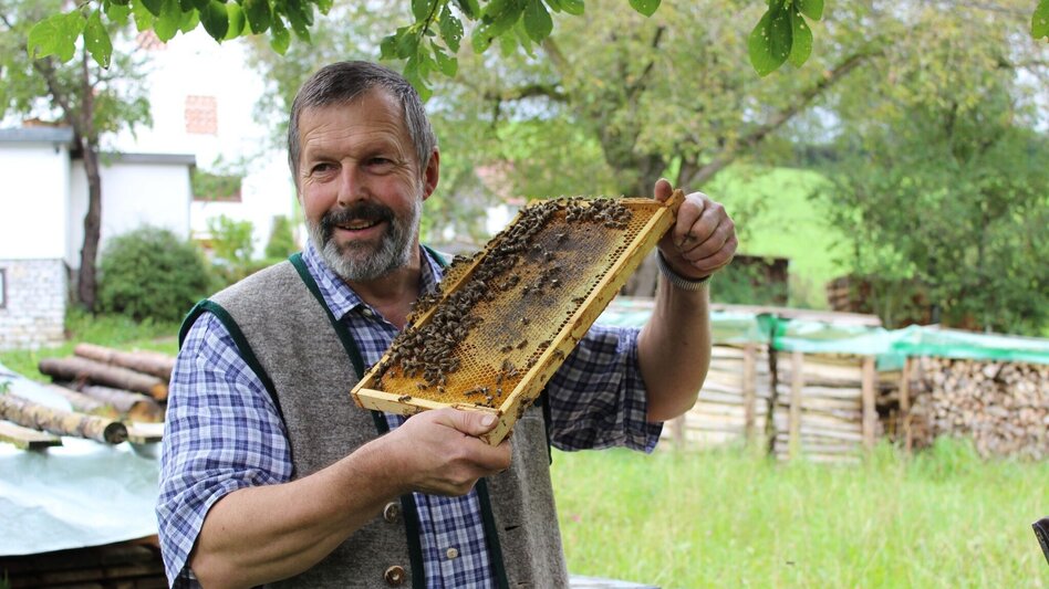 Themen- und Lehrpfad Wald- und Bienenlehrpfad, Passail - Touren-Impression #2.12 | © Oststeiermark Tourismus