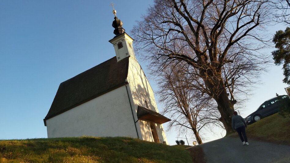 Themen- und Lehrpfad Wald- und Bienenlehrpfad, Passail - Touren-Impression #2.13 | © Oststeiermark Tourismus