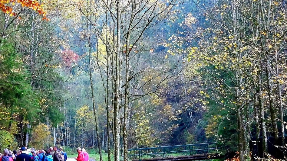 Theme path Montan Lehrpfad Arzberg - Touren-Impression #2.5 | © Oststeiermark Tourismus