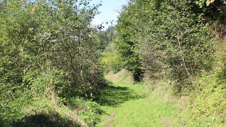 Theme path Montan Lehrpfad Arzberg - Touren-Impression #2.8 | © Oststeiermark Tourismus