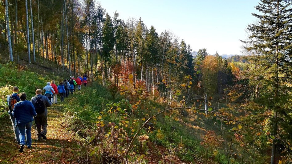 Theme path Montan Lehrpfad Arzberg - Touren-Impression #2.12 | © Oststeiermark Tourismus