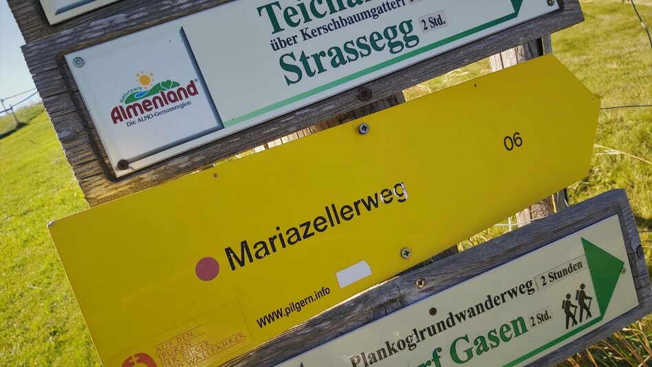 Hiking route Plankogel - Round trip, Sommeralm - Touren-Impression #2.3 | © Oststeiermark Tourismus