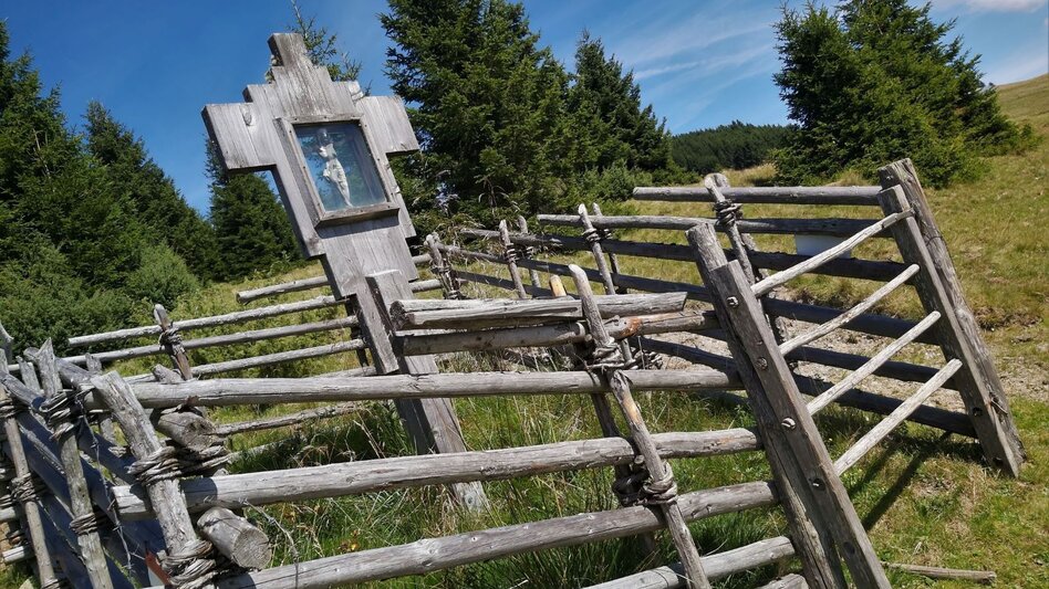 Hiking route Plankogel - Round trip, Sommeralm - Touren-Impression #2.4 | © Oststeiermark Tourismus