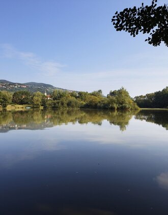 Hartberger Gmoos | Bernhard Bergmann | © TV Hartbergerland/Bernhard Bergmann