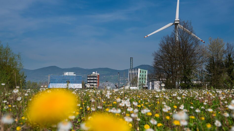 Hiking route Lebing circuit, Hartberg - Touren-Impression #2.3 | © Tourismusverband Oststeiermark