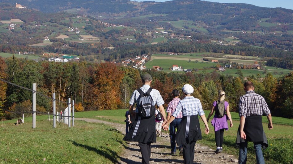 Wanderung Hirschbirnweg, Richtung Rabenwald - Touren-Impression #2.5 | © Oststeiermark Tourismus