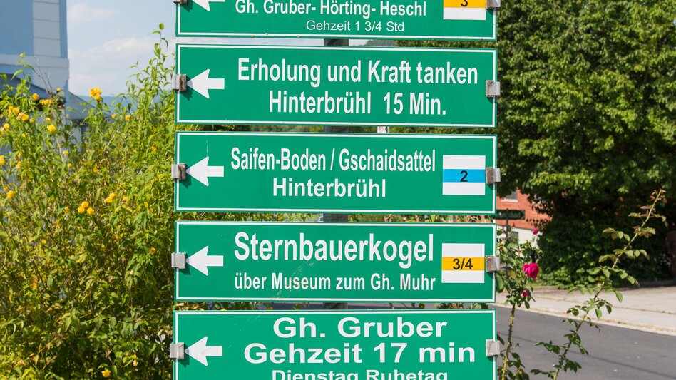 Wanderung Naturpark Erlebnisrundweg, Pöllau - Touren-Impression #2.6 | © Oststeiermark Tourismus