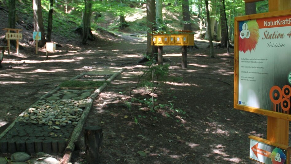 Wanderung Naturpark Erlebnisrundweg, Pöllau - Touren-Impression #2.8 | © Oststeiermark Tourismus
