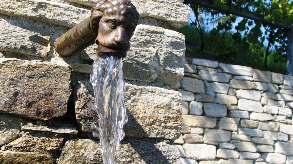 Theme path Theme garden tour, Pöllauberg - Touren-Impression #2.1 | © Oststeiermark Tourismus