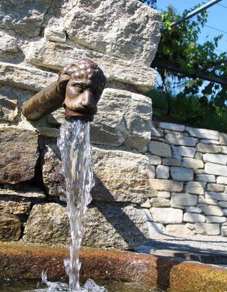 Themengärten Pöllauberg, Weingarten | Tourismusverband Oststeiermark | © Oststeiermark Tourismus