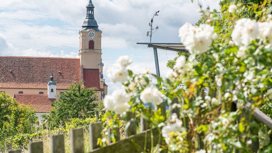 Theme path Theme garden tour, Pöllauberg - Touren-Impression #2.5 | © Oststeiermark Tourismus