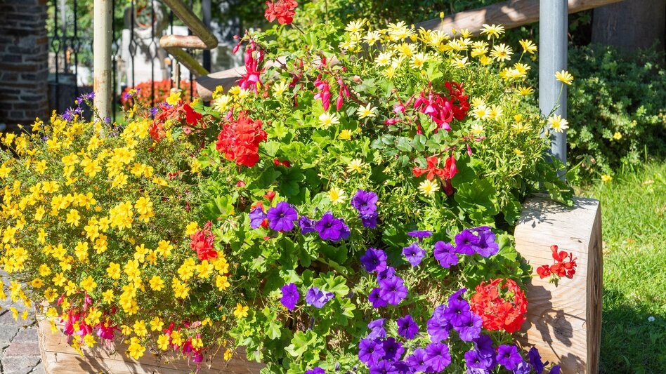 Theme path Theme garden tour, Pöllauberg - Touren-Impression #2.7 | © Oststeiermark Tourismus