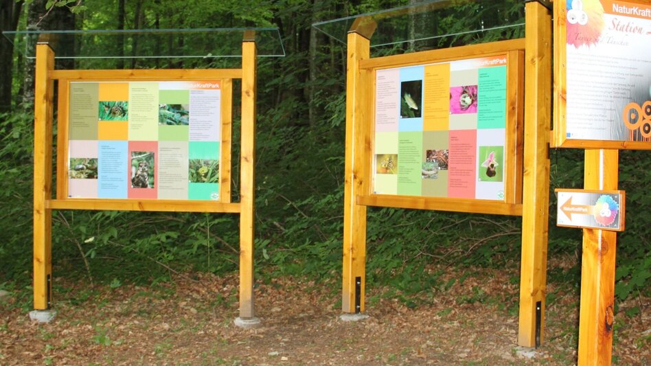 Themen- und Lehrpfad NaturKRAFTpark in der Hinterbrühl - Touren-Impression #2.7 | © Oststeiermark Tourismus