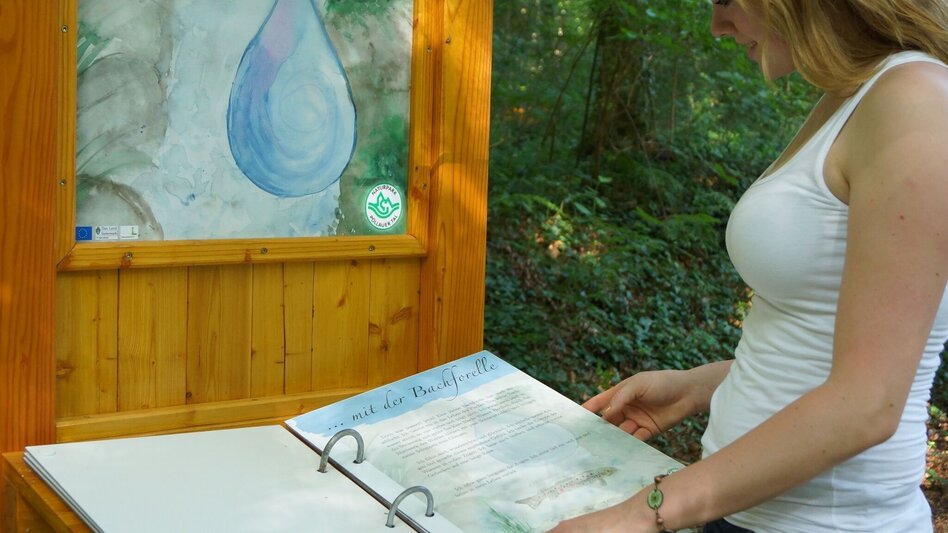 Themen- und Lehrpfad NaturKRAFTpark in der Hinterbrühl - Touren-Impression #2.9 | © Oststeiermark Tourismus