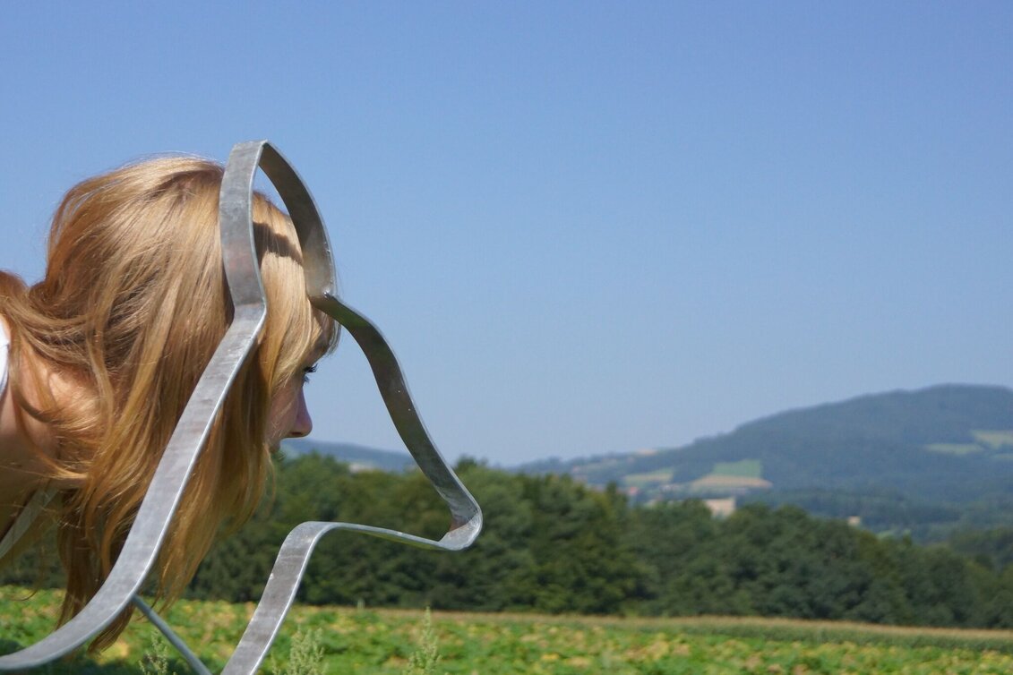 Themen- und Lehrpfad NaturKRAFTpark in der Hinterbrühl - Touren-Impression #1 | © Oststeiermark Tourismus