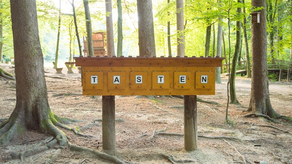 Themen- und Lehrpfad NaturKRAFTpark in der Hinterbrühl - Touren-Impression #2.6 | © Helmut Schweighofer