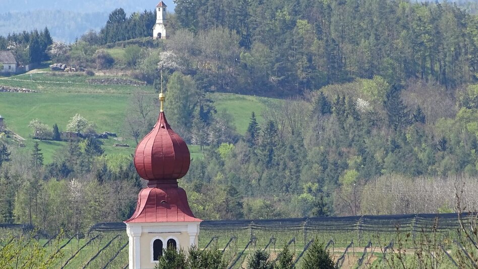 Hiking route panorama path,  Puch bei Weiz - Touren-Impression #2.2 | © Community