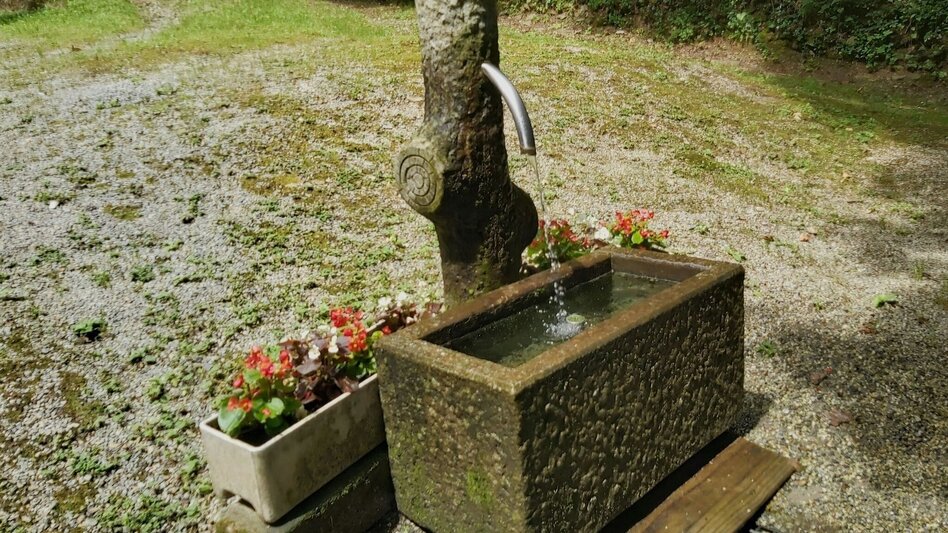 Wanderung Grubbründlweg, Puch bei Weiz - Touren-Impression #2.3 | © Oststeiermark Tourismus