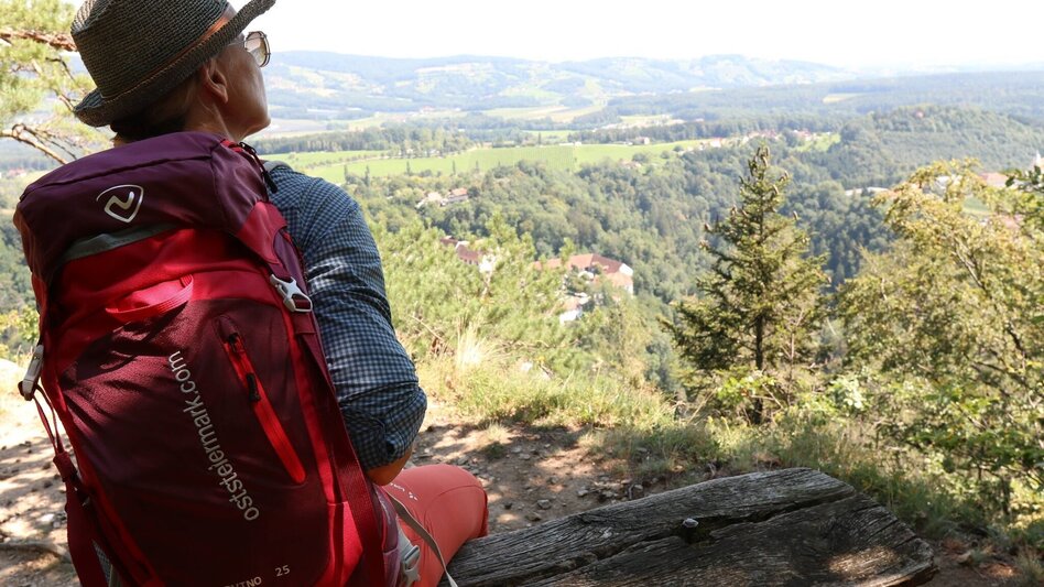 Hiking route Vulture Wall Trail - Touren-Impression #2.2 | © WEGES