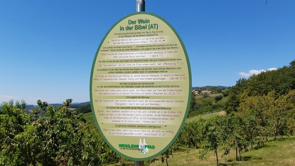 Hiking route Vulture Wall Trail - Touren-Impression #2.8 | © Oststeiermark Tourismus