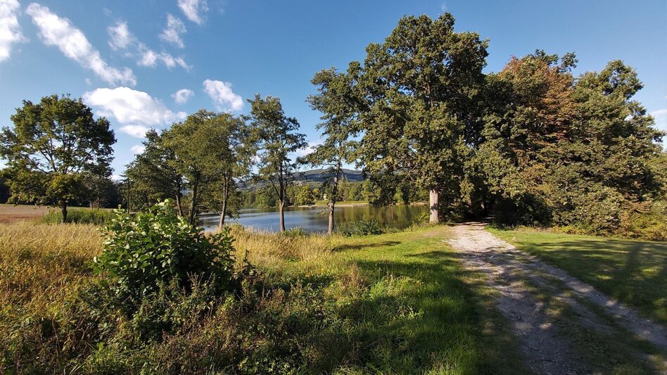 Hiking route Fieberbründlweg - pilgrimage path to the pilgrimage site Maria Fieberbründl - Touren-Impression #2.5 | © Oststeiermark Tourismus