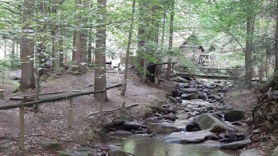 Theme path Adventure trail- honey bee, Anger near Weiz - Touren-Impression #2.7 | © Oststeiermark Tourismus