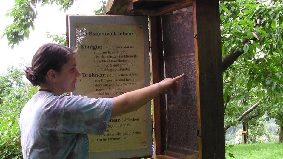 Theme path Adventure trail- honey bee, Anger near Weiz - Touren-Impression #2.2 | © Oststeiermark Tourismus