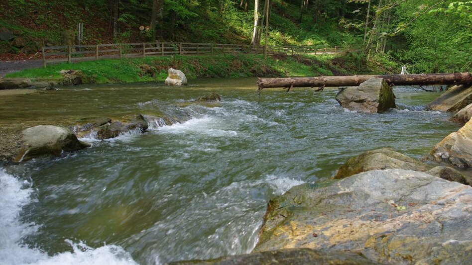 Wanderung Klammrunde, Stubenberg am See - Touren-Impression #2.1 | © Oststeiermark Tourismus