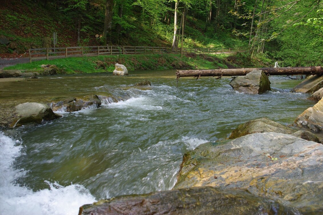 Wanderung Klammrunde, Stubenberg am See - Touren-Impression #1 | © Oststeiermark Tourismus